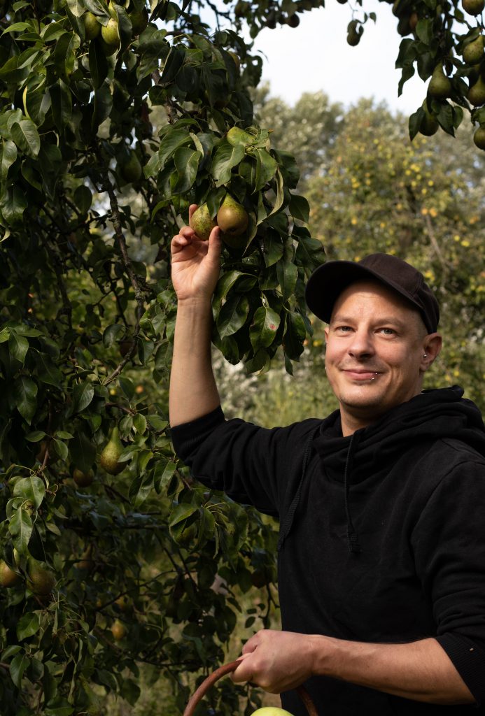 Sean Moxie, auf der Streuobstwiese, hier bei den Birnen