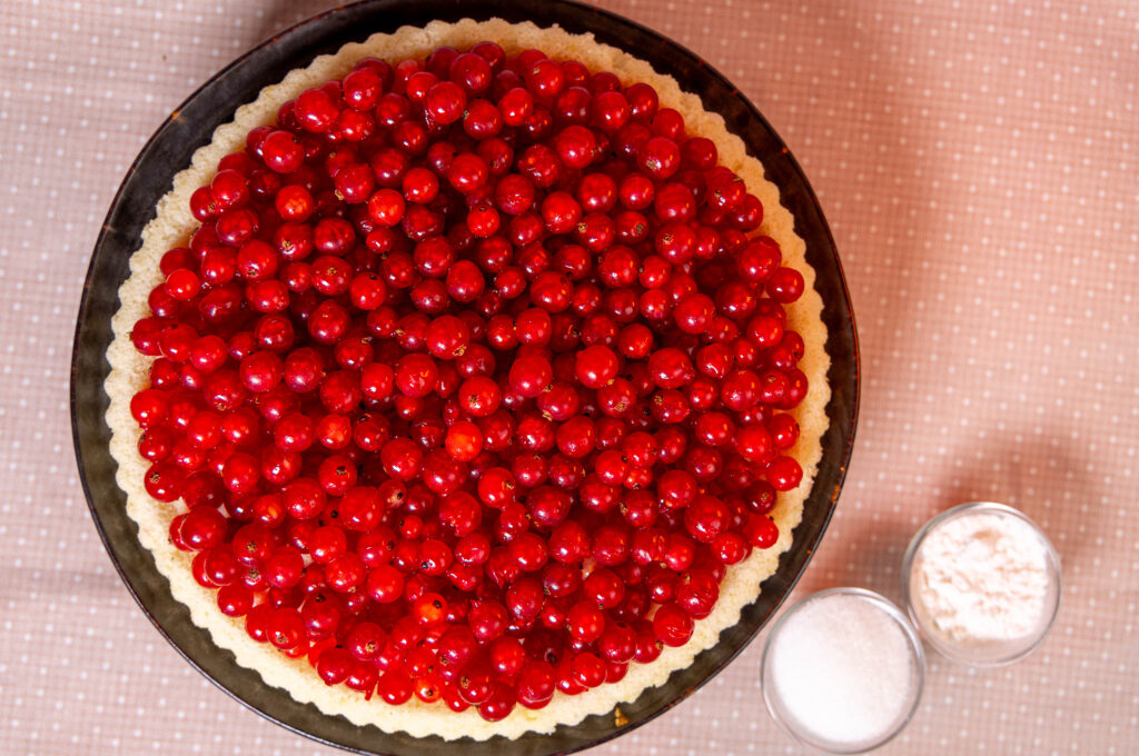 5. Den Tortenboden reichhaltig mit frischen Johannisbeeren belegen.