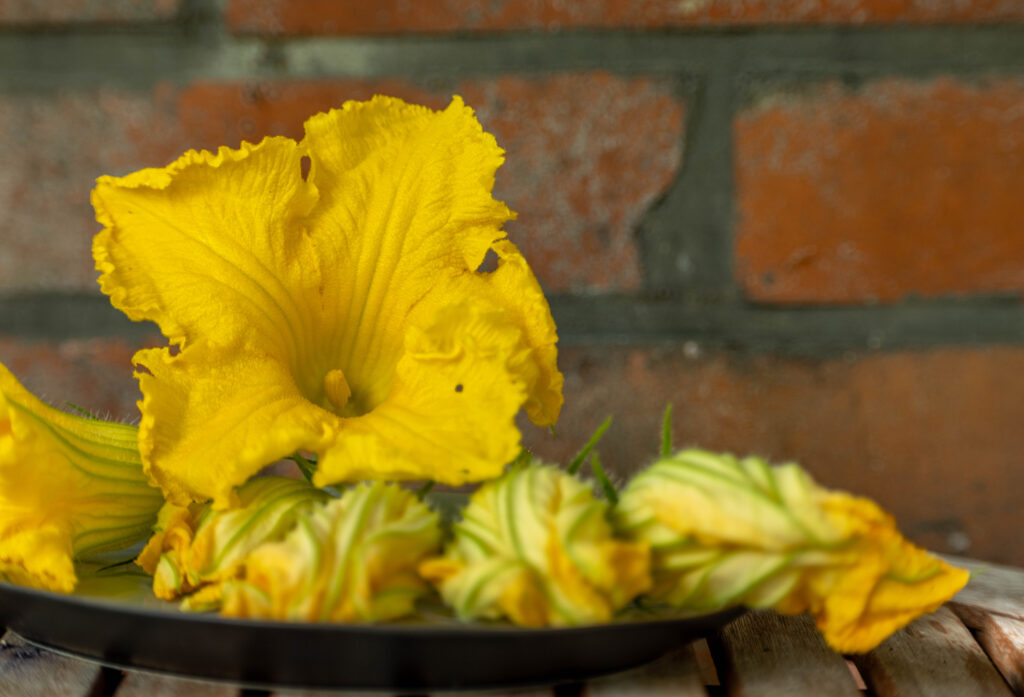 1. Zuerst ernte ich die Blüten. Hier habe ich eine Mischung aus Zucchini- und Hokaidoblüten.