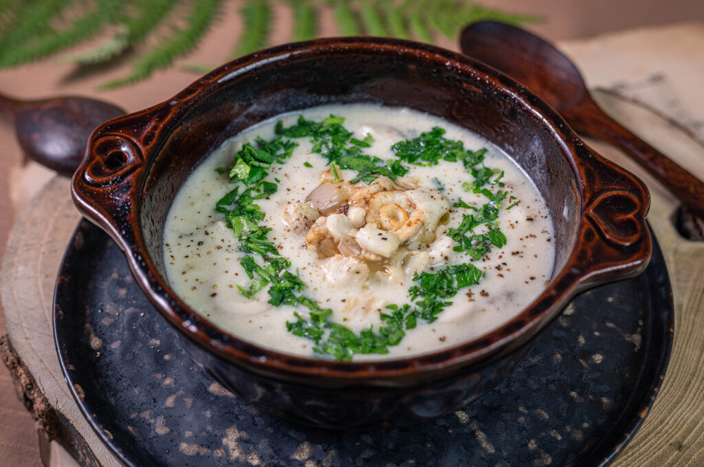 Schopftintlinge sind standorttreu - man kann also gezielt für diese Cremesuppe vom Schopftintling losziehen.