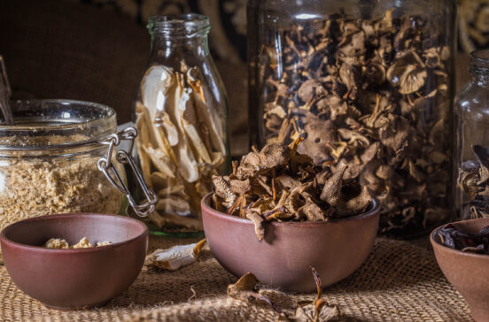 Pilze dörren - ein einfaches Grundrezept zum Pilze haltbar machen